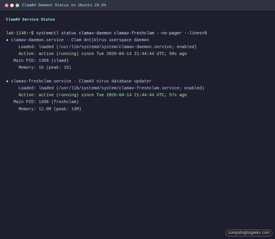 ClamAV daemon and freshclam systemd status on Ubuntu 26.04