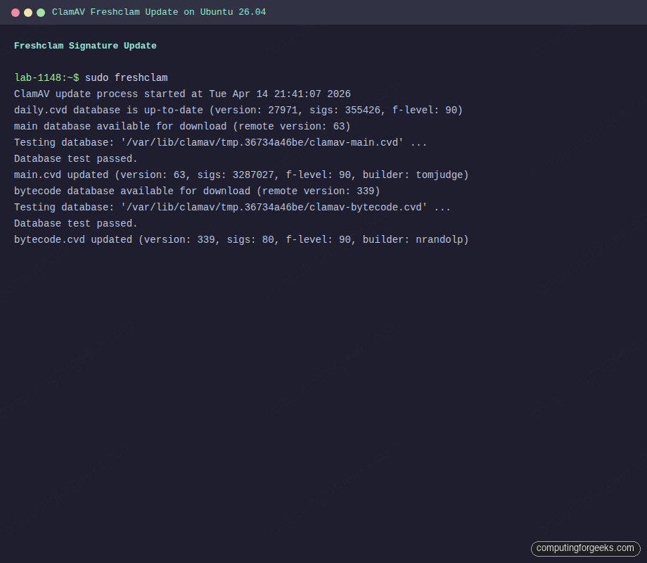 Freshclam signature update showing daily, main, and bytecode databases on Ubuntu 26.04