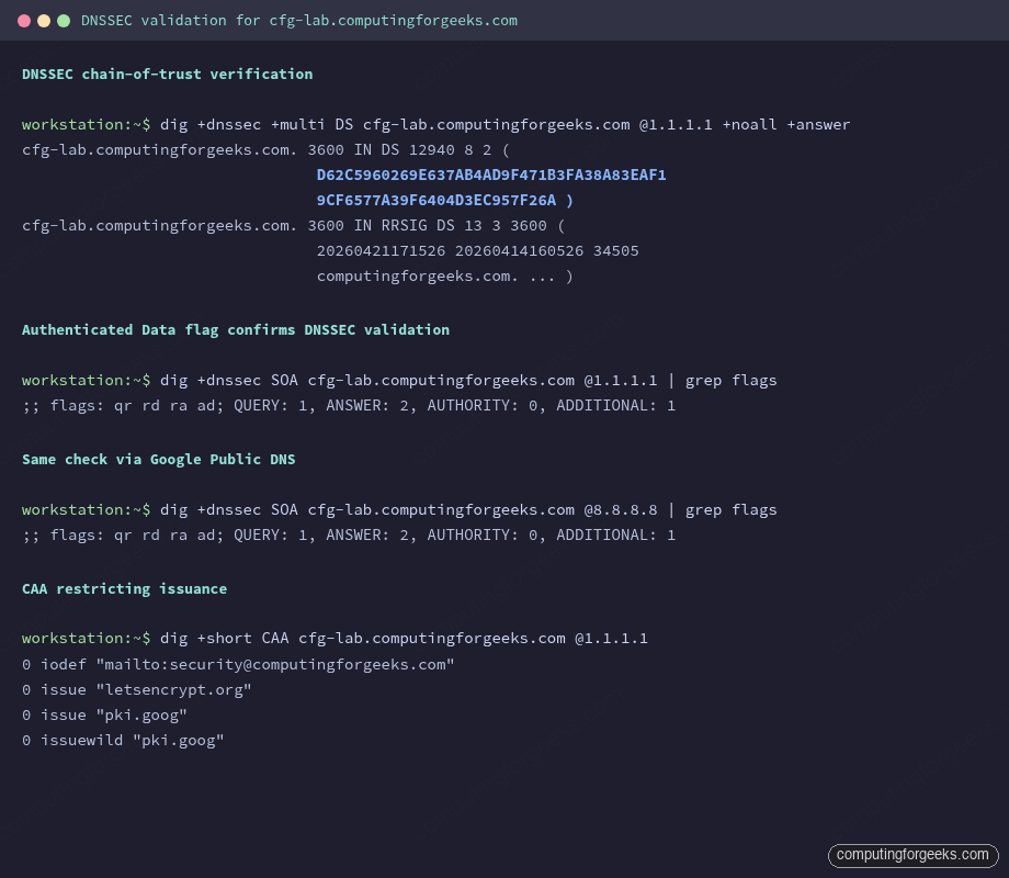 Terminal showing dig +dnssec AD flag and CAA records on cfg-lab zone
