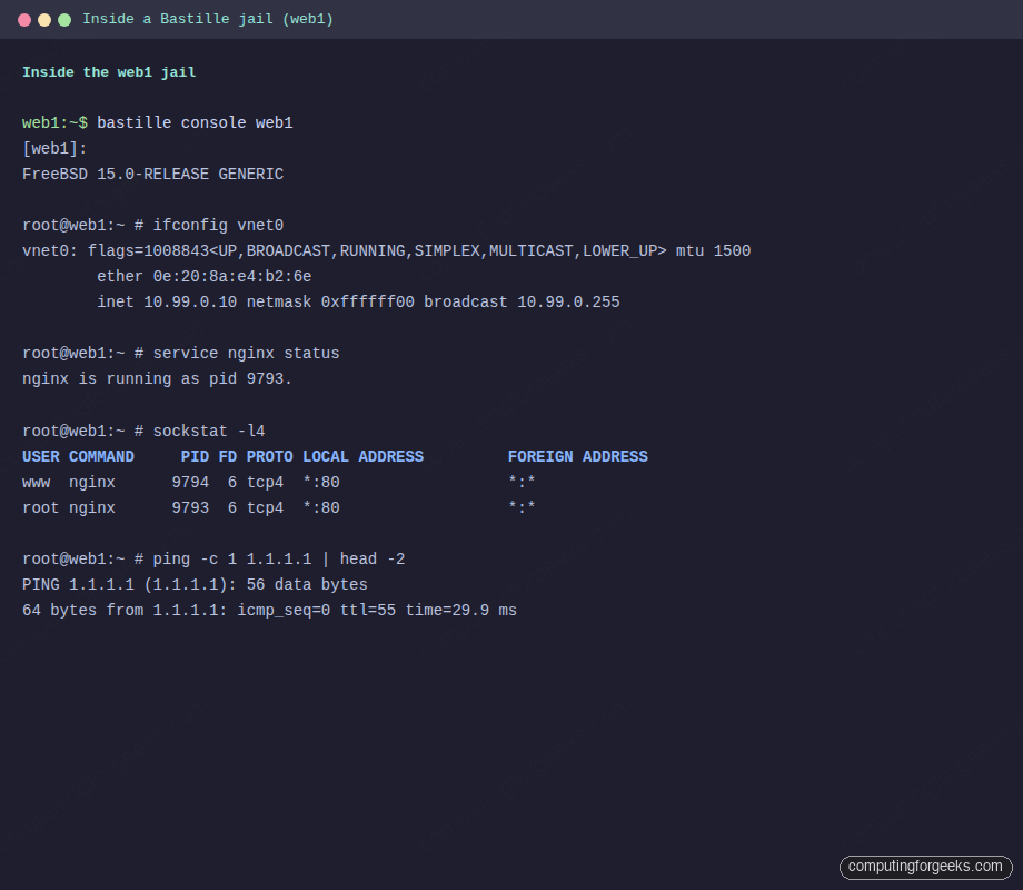 Terminal session inside a Bastille VNET jail with nginx running on FreeBSD 15