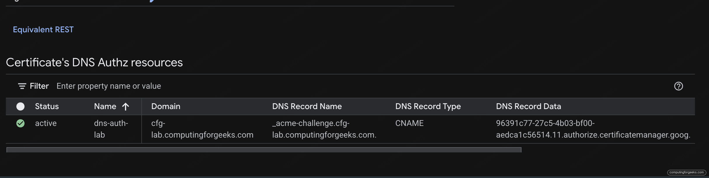 Google Cloud Console Certificate Manager DNS Authz showing active ACME CNAME record