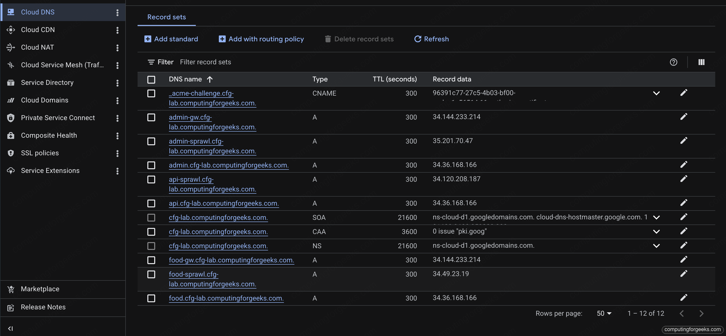 Google Cloud Console Cloud DNS record sets listing CAA NS A CNAME records for cfg-lab