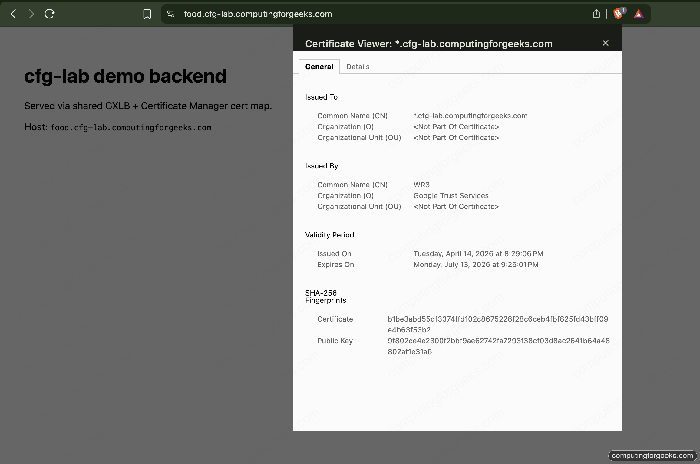 Browser certificate viewer showing wildcard cert issued by Google Trust Services for food cfg-lab