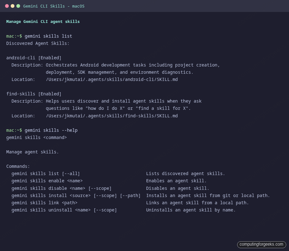 Gemini CLI skills list and skills subcommand help on macOS