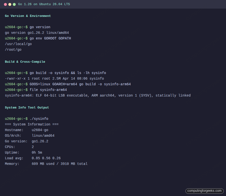 Install Go (Golang) 1.26 on Ubuntu 26.04 LTS 1 Go 1.26 version build cross-compilation and sysinfo tool output on Ubuntu 26.04 LTS