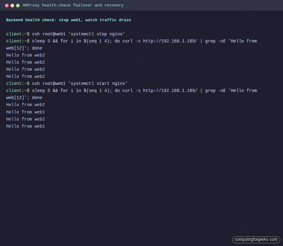 HAProxy health-check failover when one Nginx backend stops and rejoin on recovery