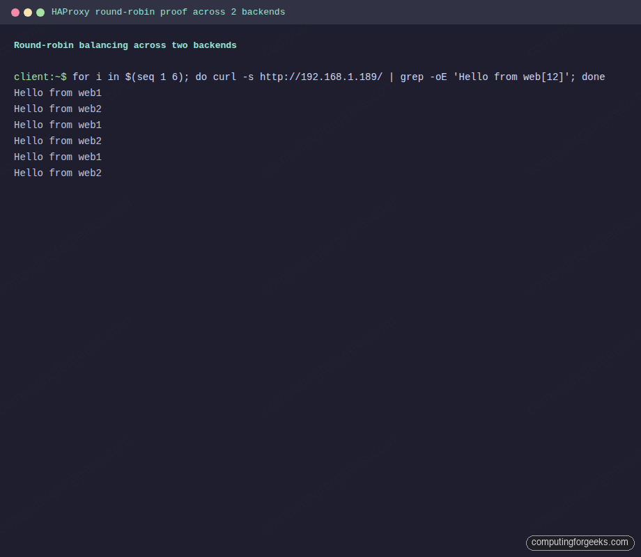 HAProxy round-robin load balancing across two Nginx backends on Ubuntu 26.04