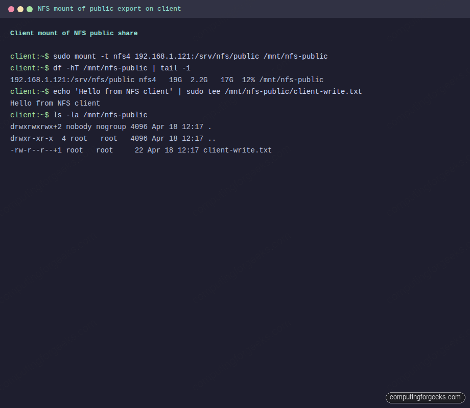 Mount of the NFS public export from an Ubuntu 26.04 client