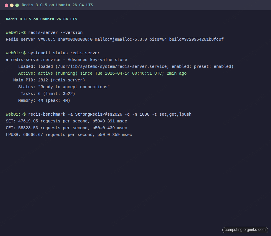 Redis 8.0.5 version and service status on Ubuntu 26.04 LTS