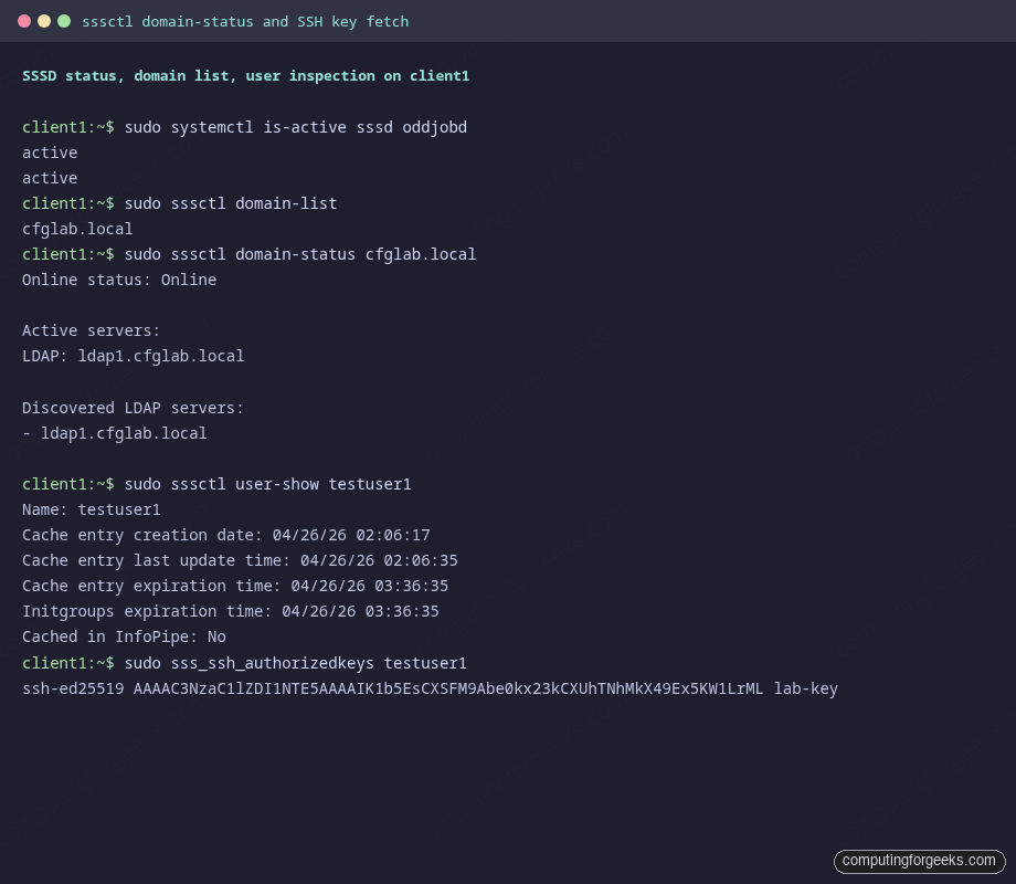 sssctl domain-status output showing Online status and sss_ssh_authorizedkeys returning LDAP-stored public key