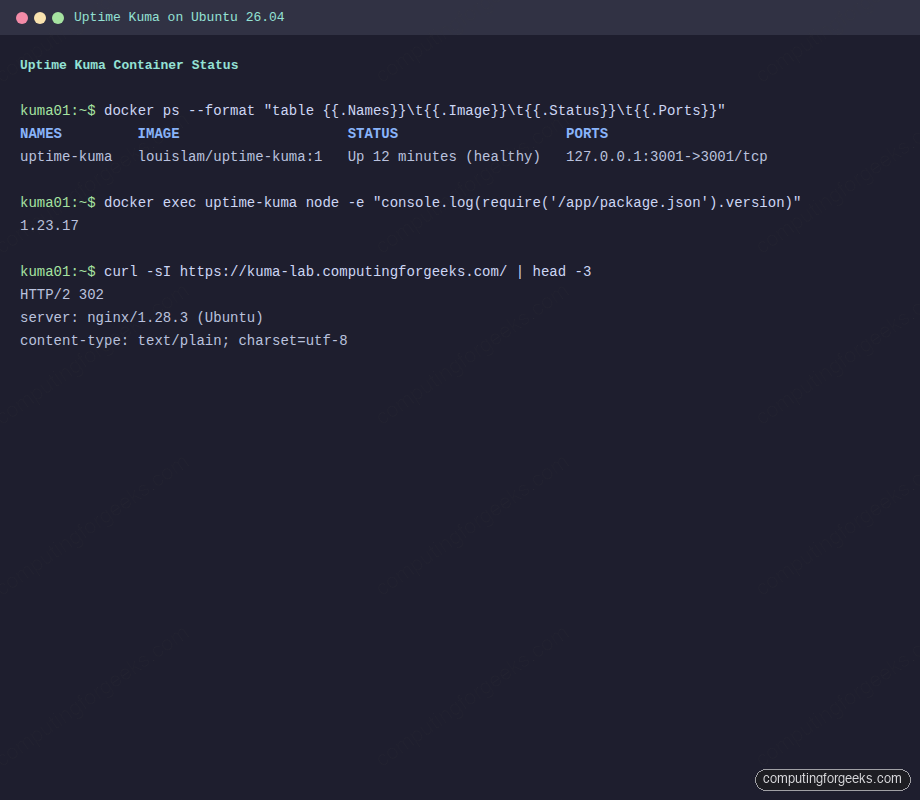 How To Install Uptime Kuma on Ubuntu 26.04 LTS 1 Uptime Kuma container running on Ubuntu 26.04 with Docker