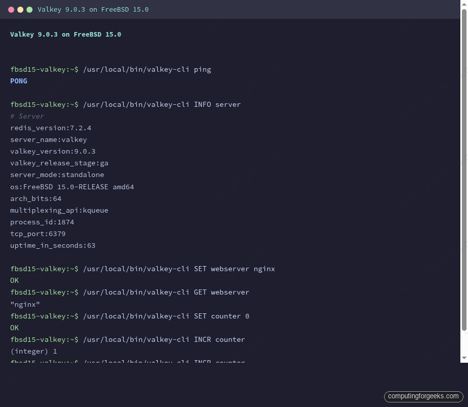 Install Valkey on FreeBSD 15 (Redis Fork) 1 Valkey 9.0.3 CLI ping and INFO server output on FreeBSD 15