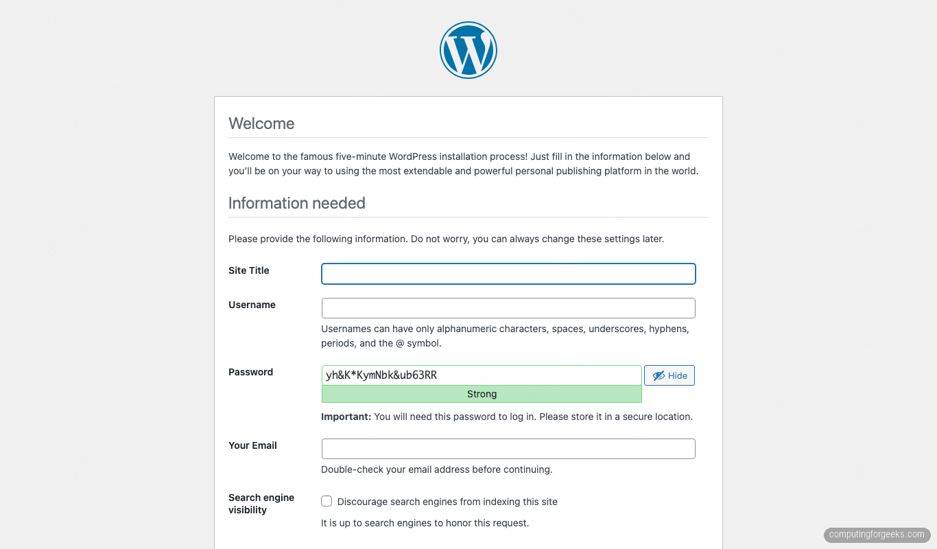 WordPress installer site info form with admin username, password, and email