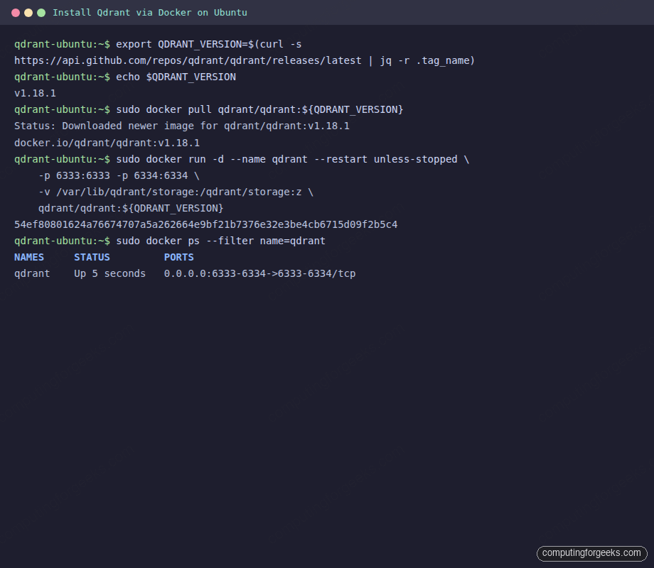 Terminal showing Qdrant Docker pull and run commands