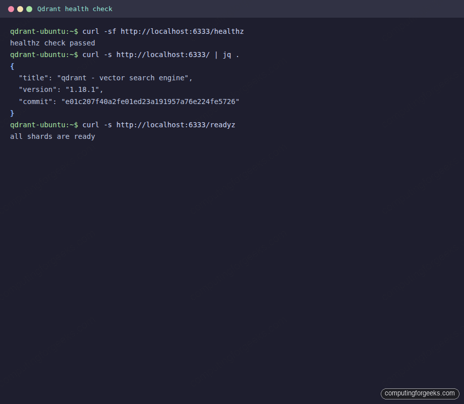 Terminal output of Qdrant healthz and version endpoints