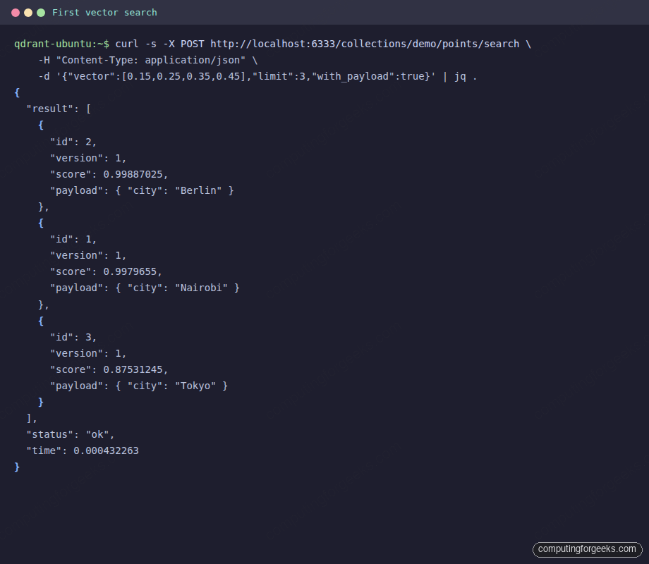 Terminal output of first vector search returning Berlin Nairobi Tokyo