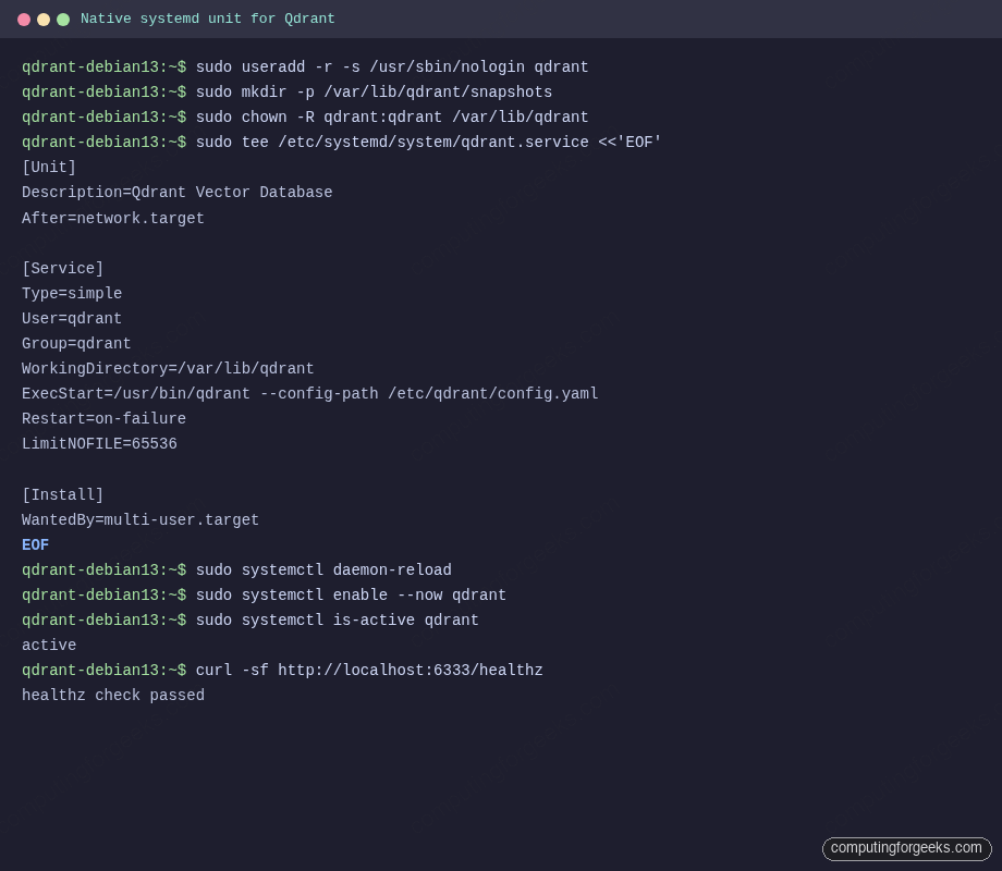 Custom systemd unit for native Qdrant on Debian