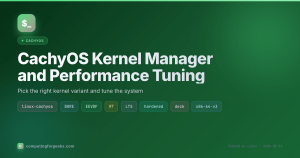 CachyOS Kernel Manager and Performance Tuning featured image with kernel variant chips