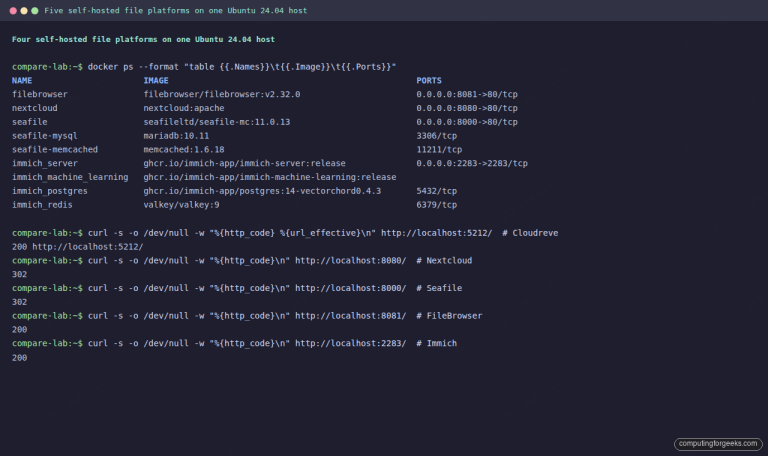 Terminal output of docker ps showing four self-hosted file platforms running side by side on Ubuntu 24.04, with curl HTTP checks confirming Cloudreve, Nextcloud, Seafile, FileBrowser, and Immich are reachable