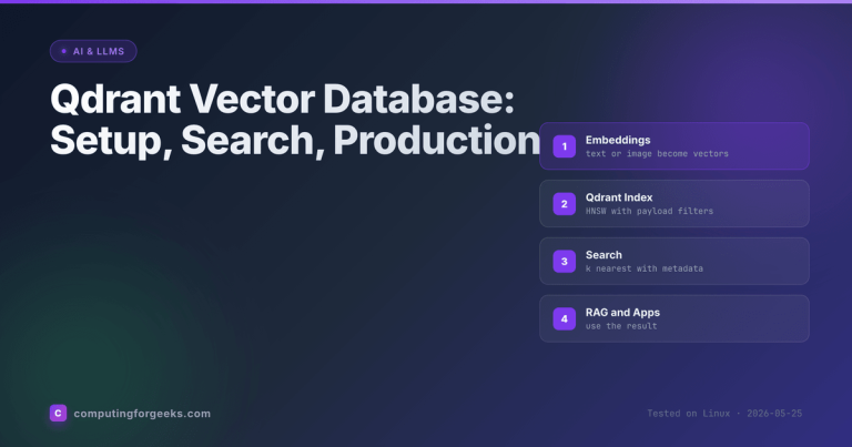 Qdrant vector database pipeline diagram showing embeddings HNSW index search and RAG apps
