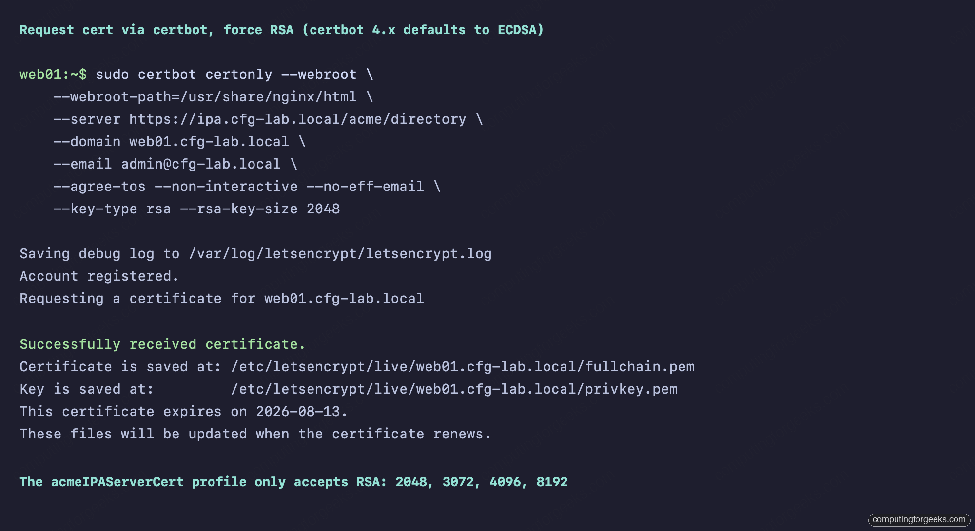 certbot HTTP-01 issuance against FreeIPA ACME directory with RSA forced
