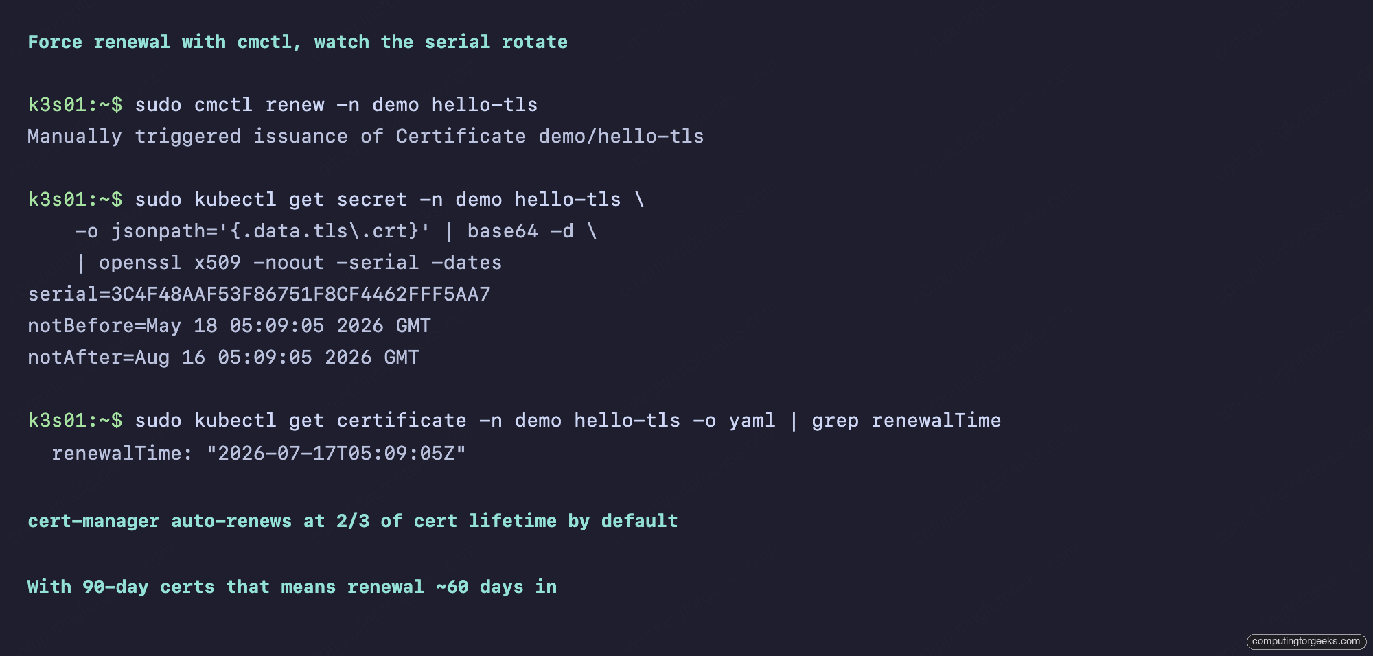 FreeIPA ACME + cert-manager for Kubernetes Workloads 6 cmctl renew rotating Secret serial in seconds renewalTime visible