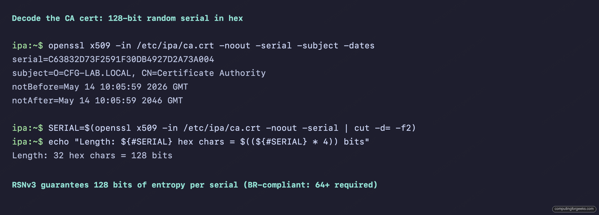 CA certificate decoded with openssl showing 128-bit hex serial