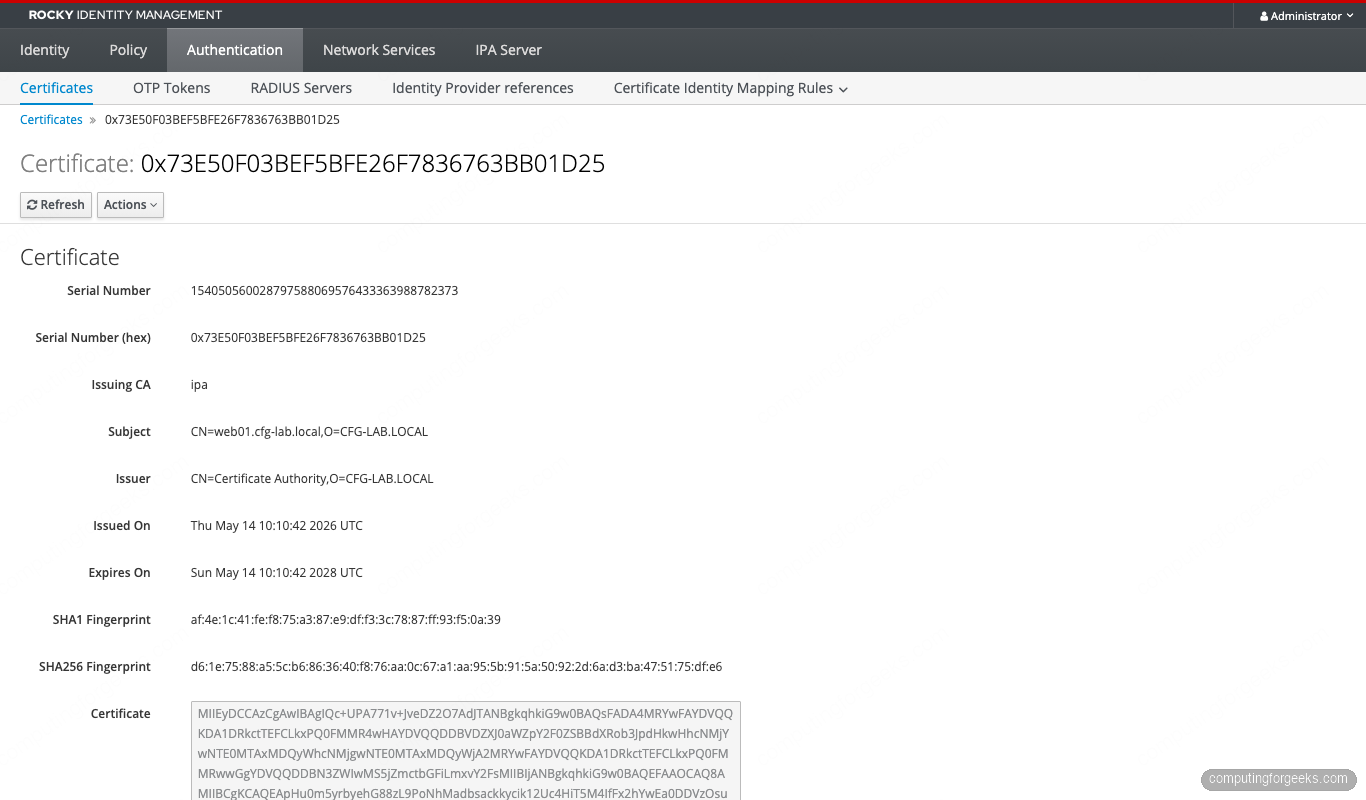 WebUI host cert detail page showing decimal and hex 128-bit serial