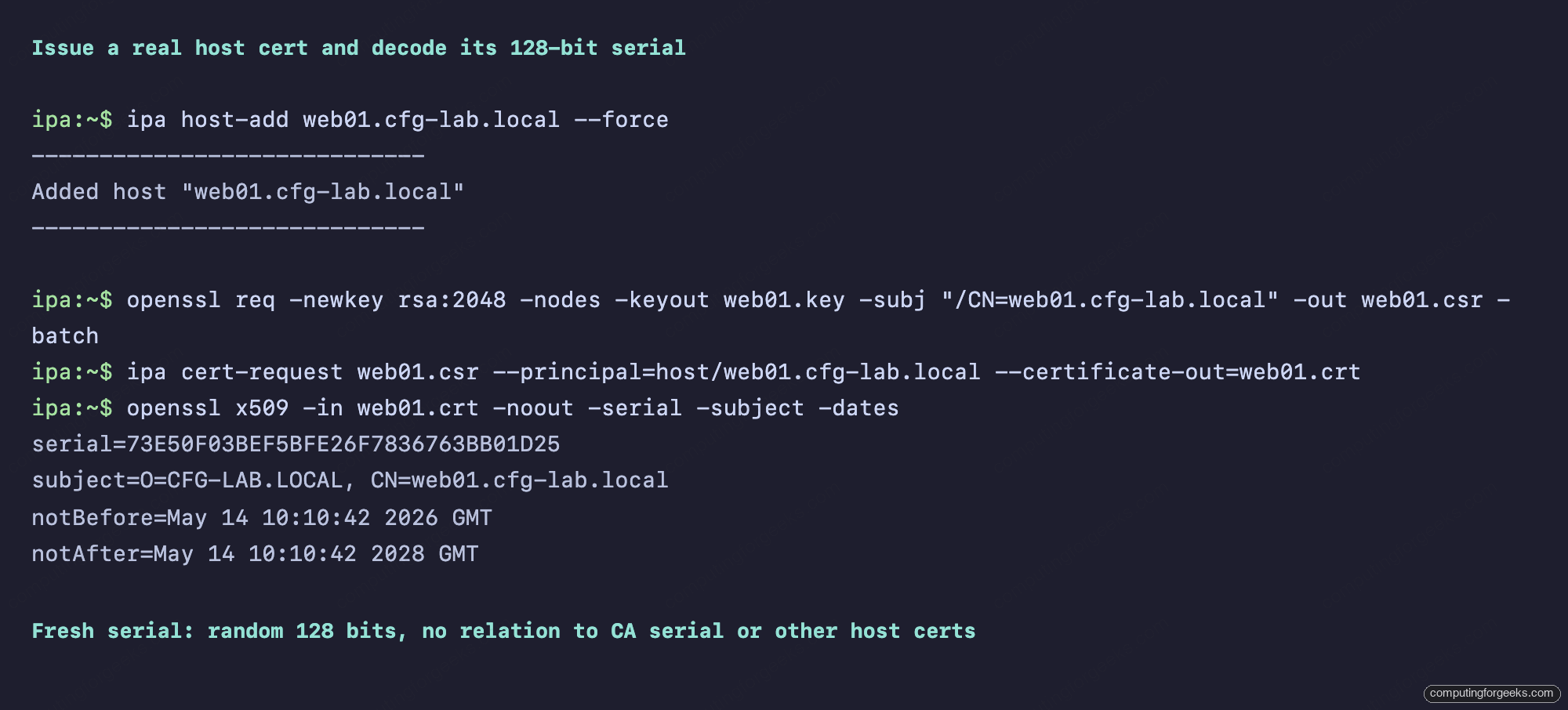 Issue host cert and decode random 128-bit serial