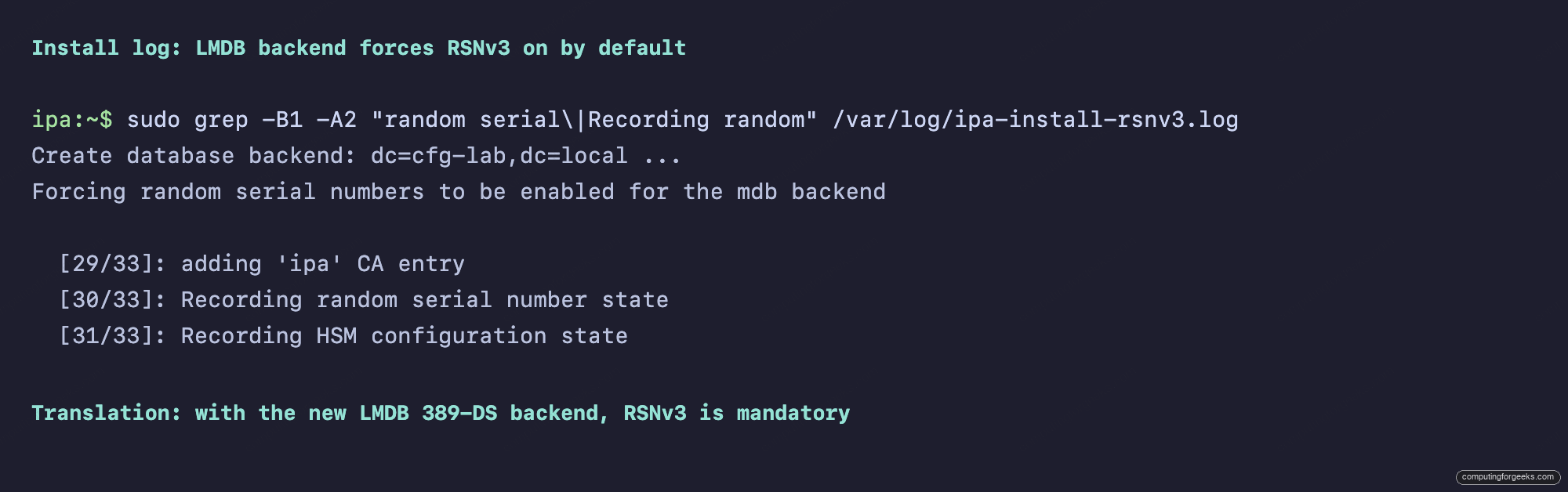 FreeIPA install log showing LMDB backend forces RSNv3 on