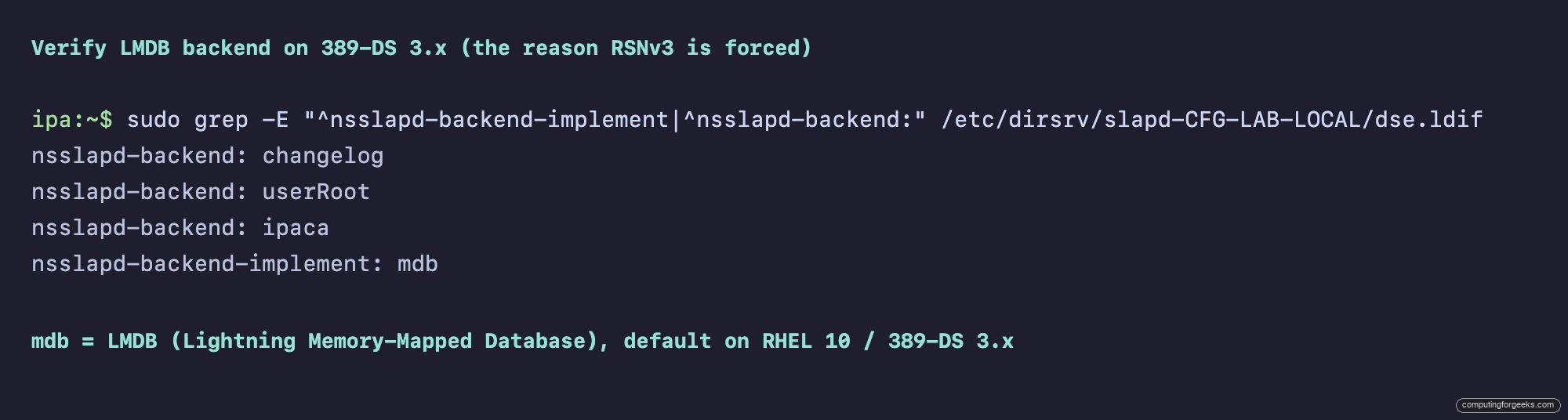 389-DS LMDB backend marker on RHEL 10