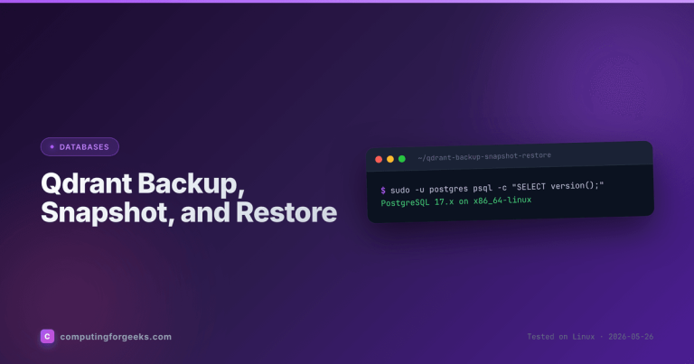 Featured image for Qdrant Backup Snapshot and Restore guide