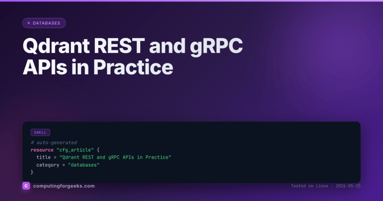 Featured image for Qdrant REST and gRPC APIs guide