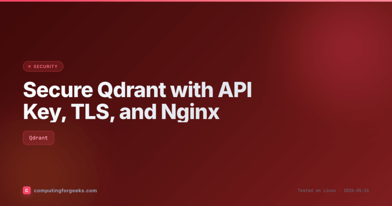 Featured image for Secure Qdrant with API Key TLS Nginx guide