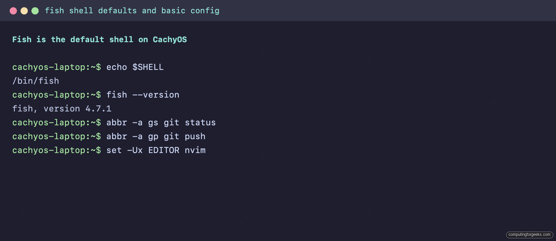 fish_config web interface running on localhost showing theme picker, prompt configuration, and command history viewer on CachyOS