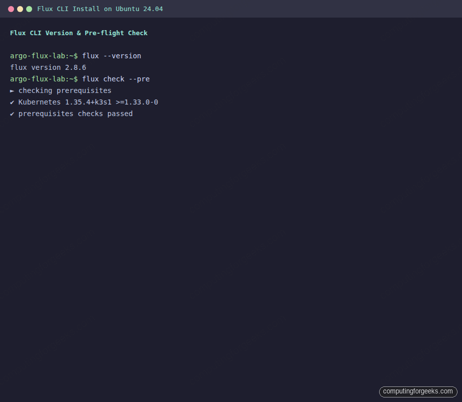 Flux CLI version and pre-flight check on Ubuntu 24.04