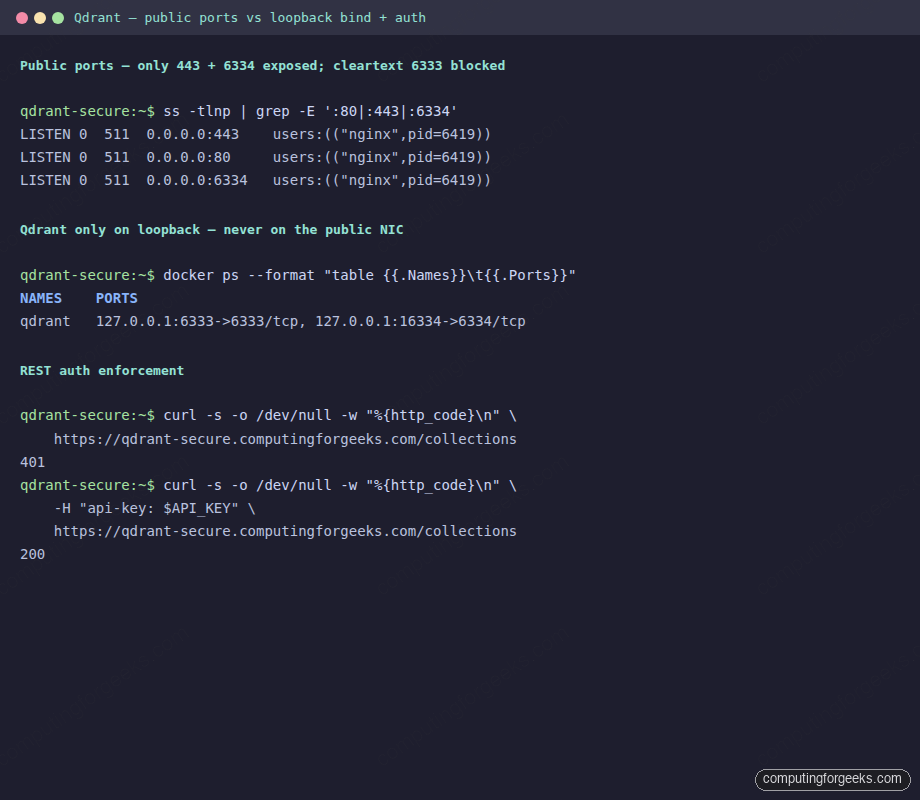 Qdrant loopback bind on 6333 and Nginx public ports 443 6334 with API key auth