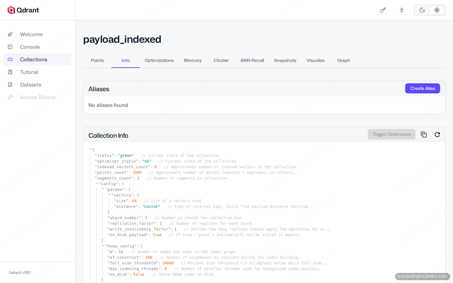 Qdrant collection Info tab with annotated config JSON