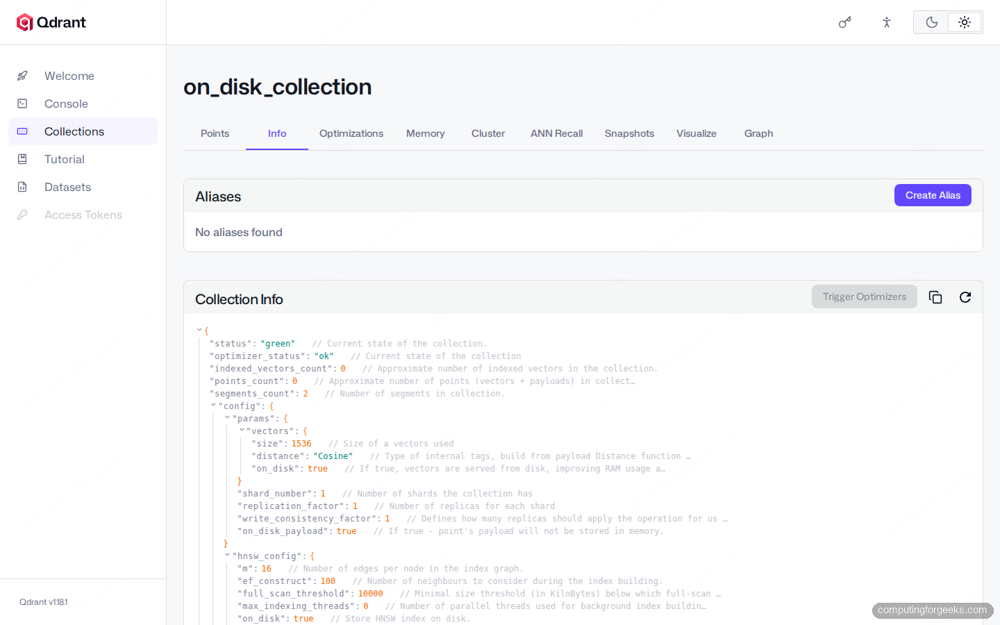 Qdrant on-disk vectors and payload config