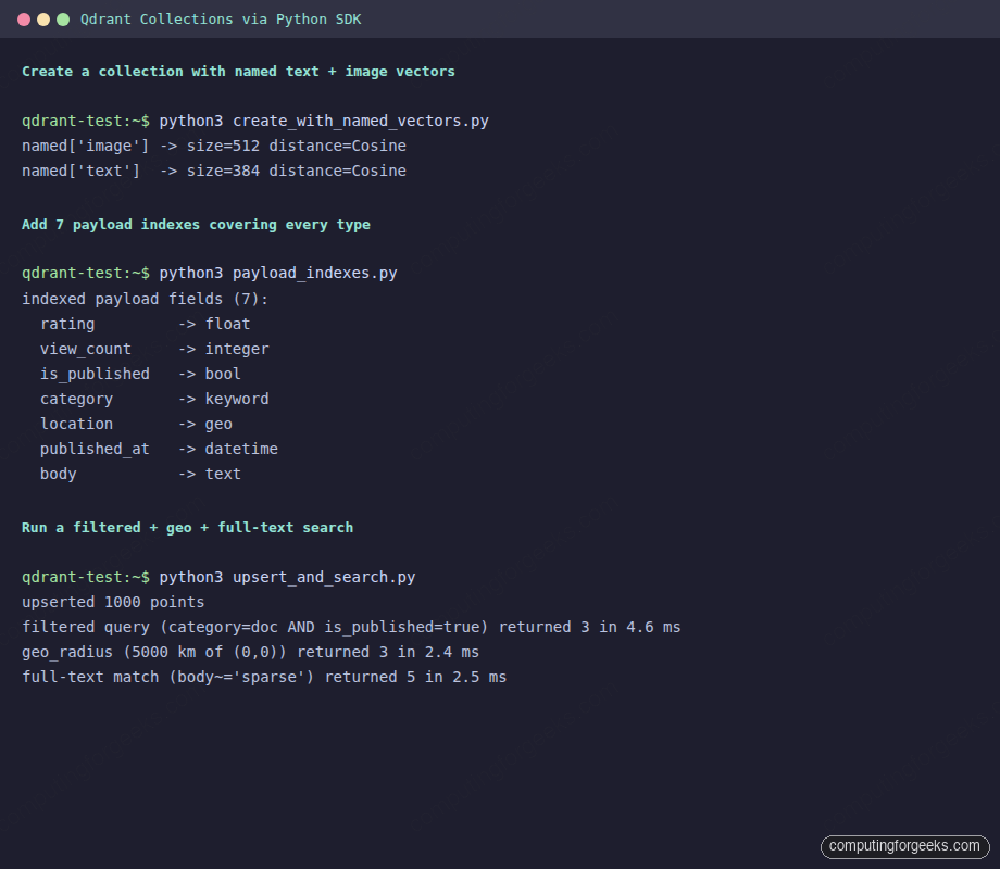 Qdrant collections created via Python SDK terminal