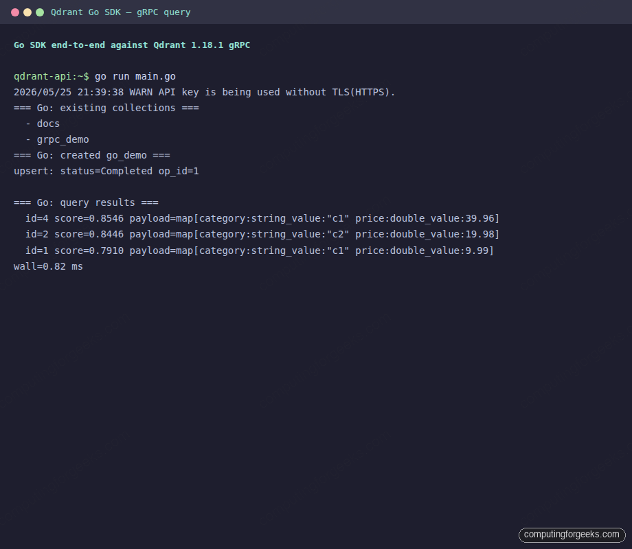 Qdrant REST and gRPC APIs in Practice 4 Qdrant Go SDK gRPC query results in terminal
