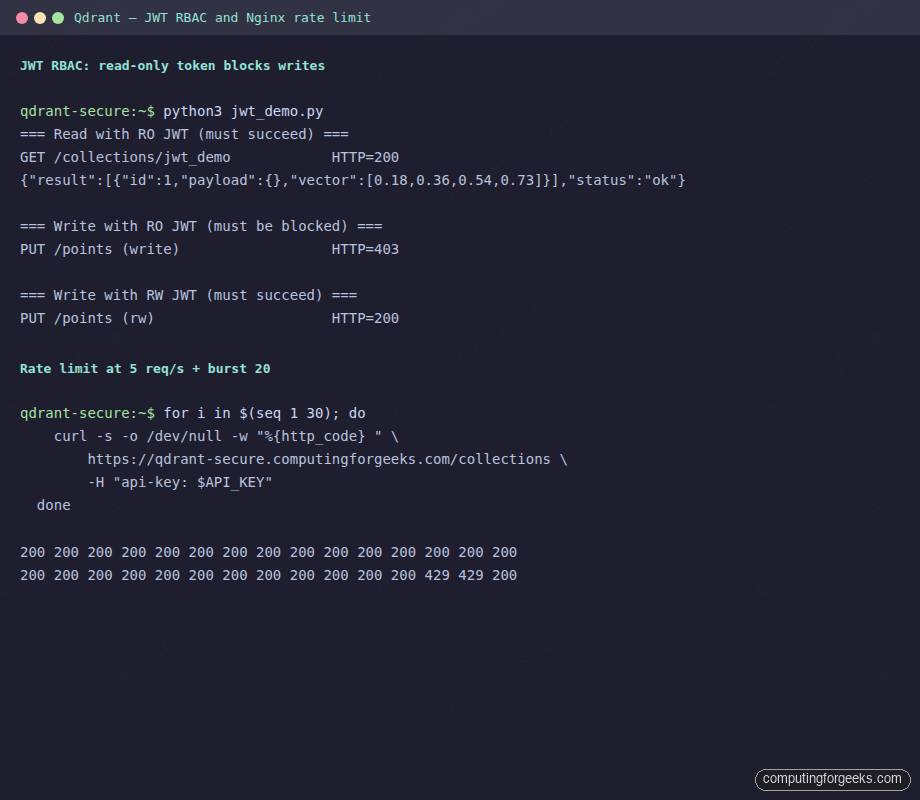 Qdrant JWT read-only token blocks writes plus Nginx 429 rate limit