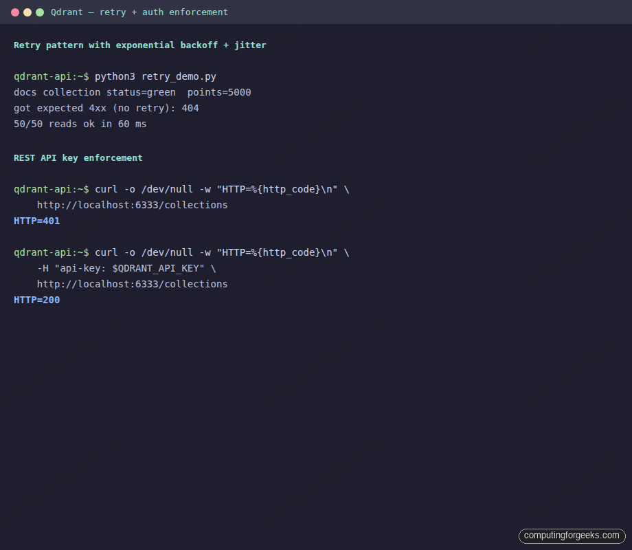 Qdrant REST and gRPC APIs in Practice 5 Qdrant retry pattern and 401 vs 200 API key enforcement