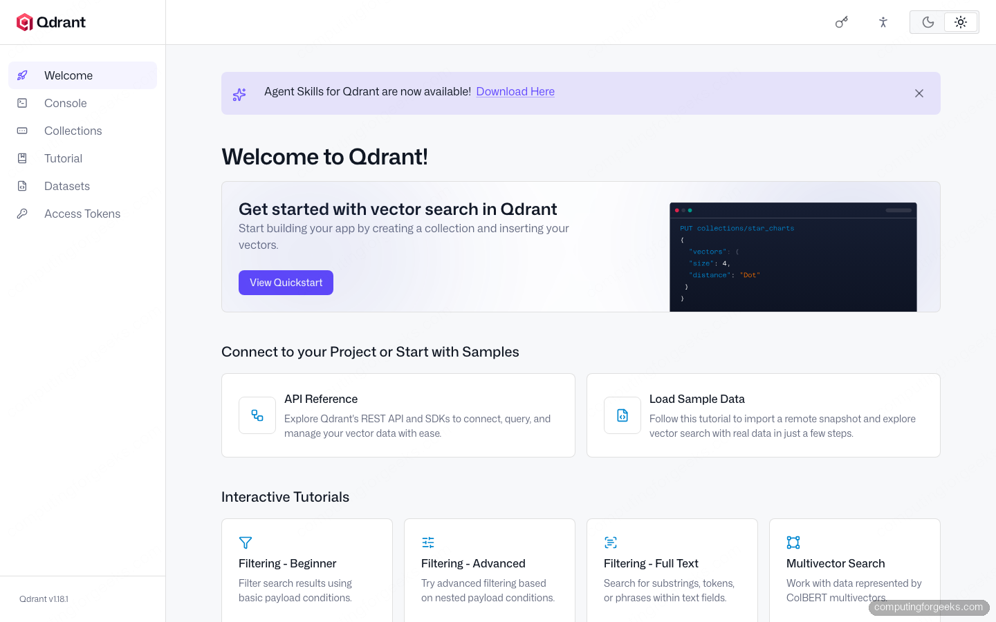 Qdrant Web UI served over HTTPS through Nginx reverse proxy