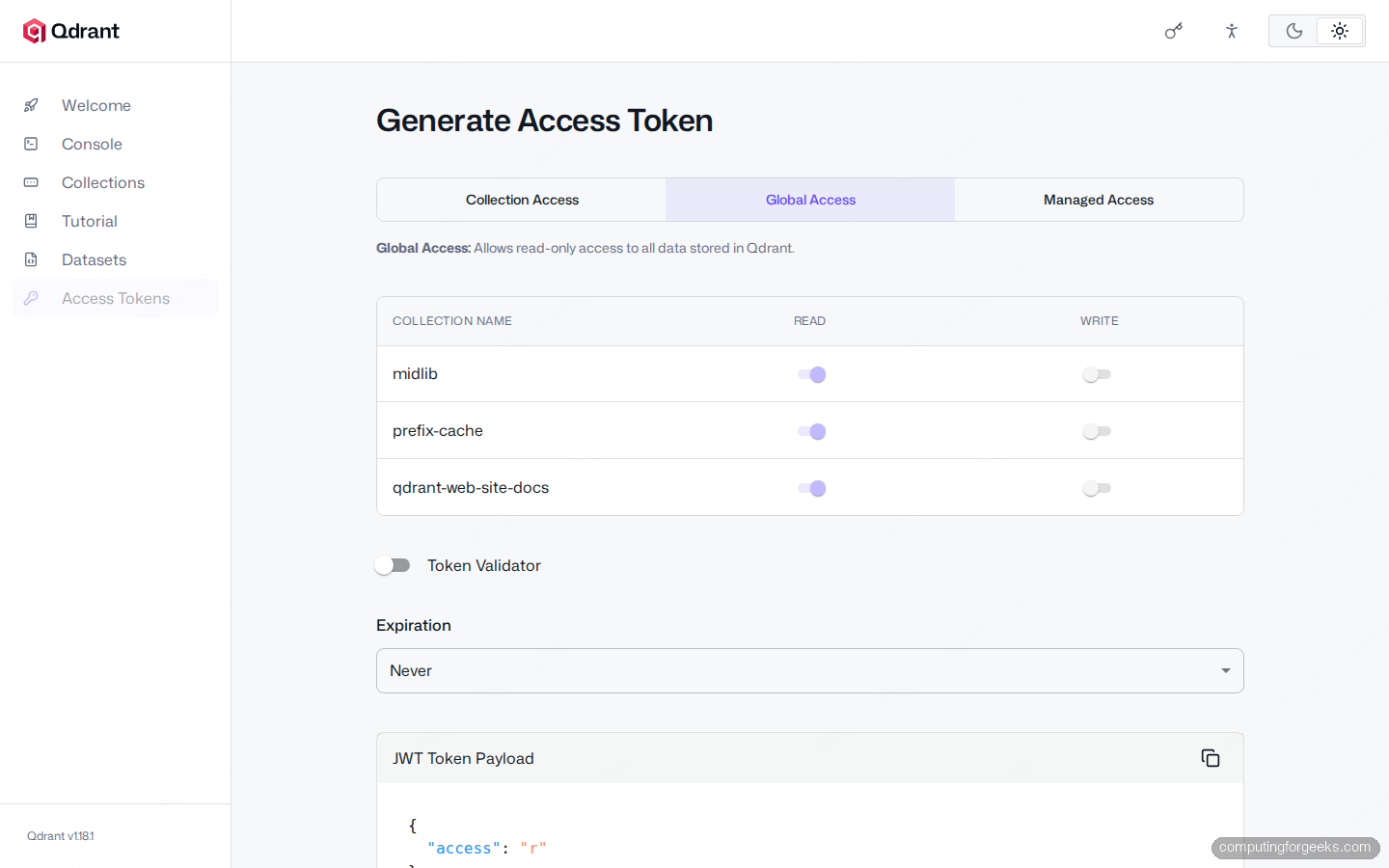 Qdrant Web UI Access Tokens JWT generator