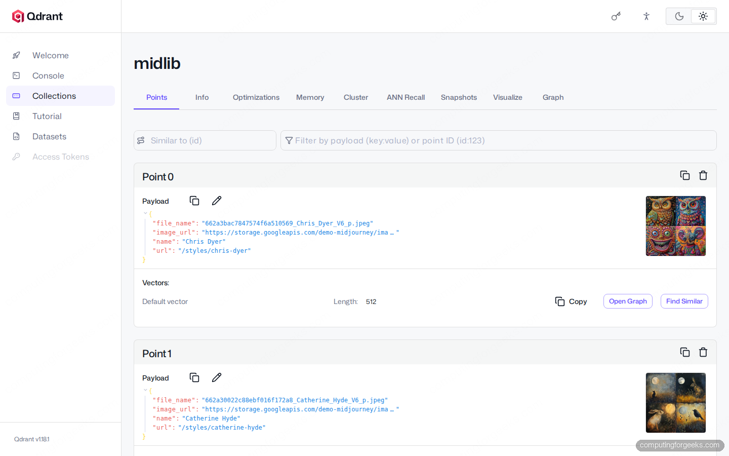 Qdrant Web UI collection points detail