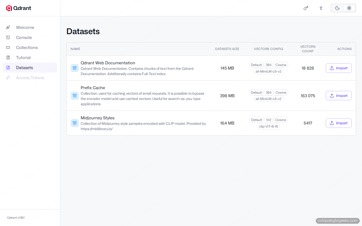 Qdrant Web UI Datasets import panel