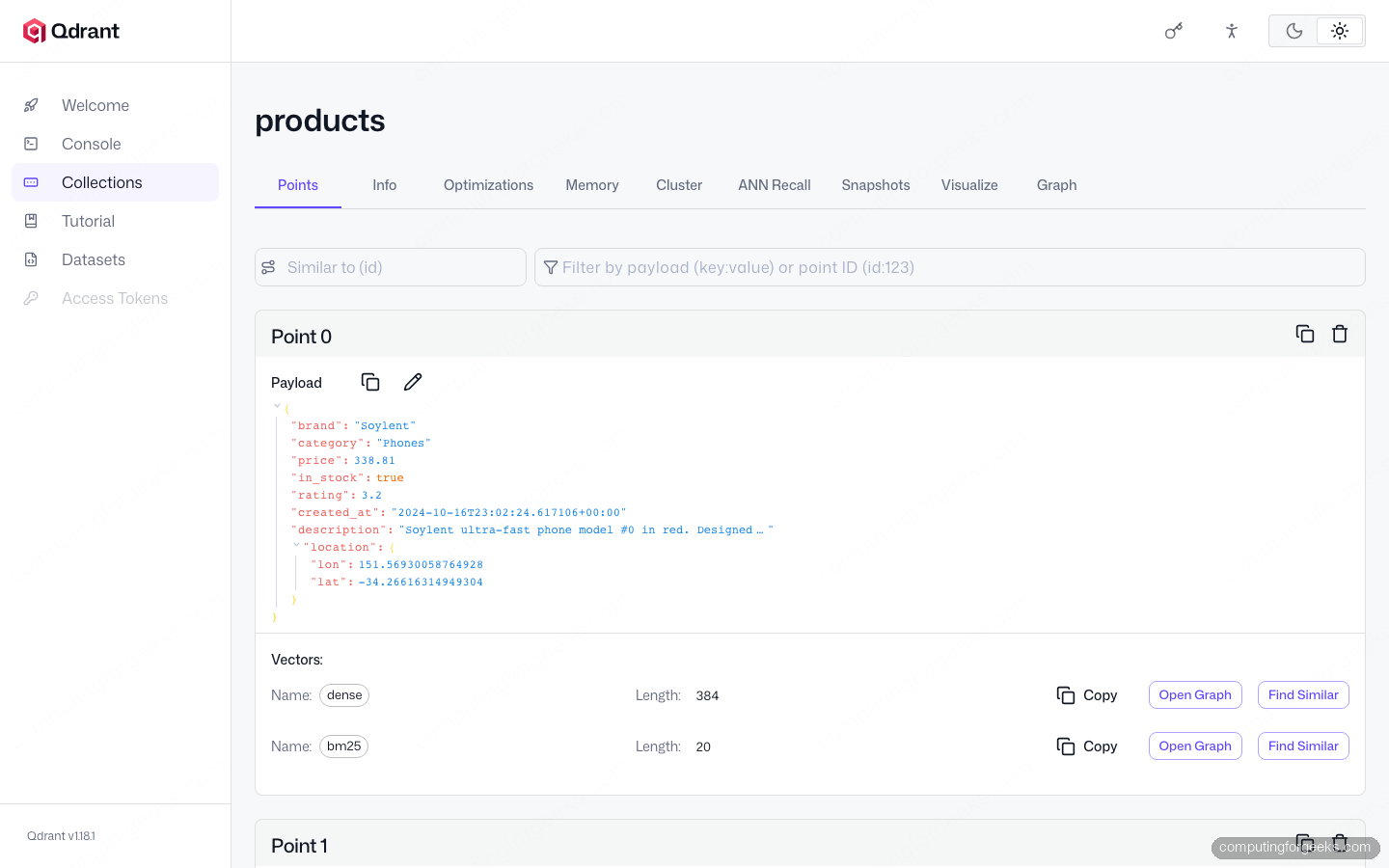 Qdrant Filters and Payload Indexes: Advanced Search Patterns 1 Qdrant Web UI showing products collection with dense plus BM25 sparse named vectors and rich payload