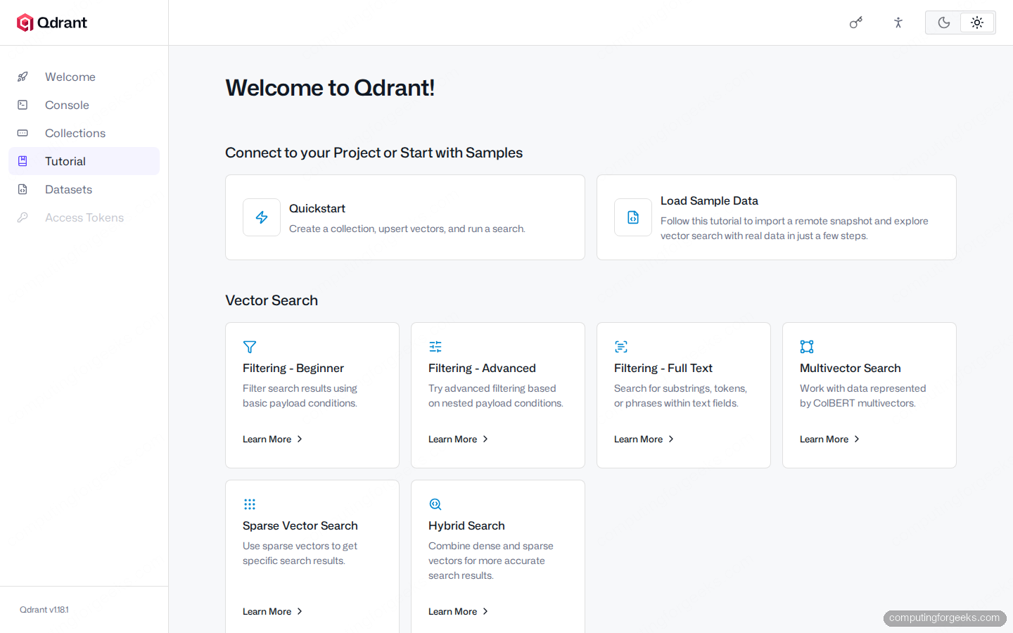 Qdrant Web UI Interactive Tutorial index