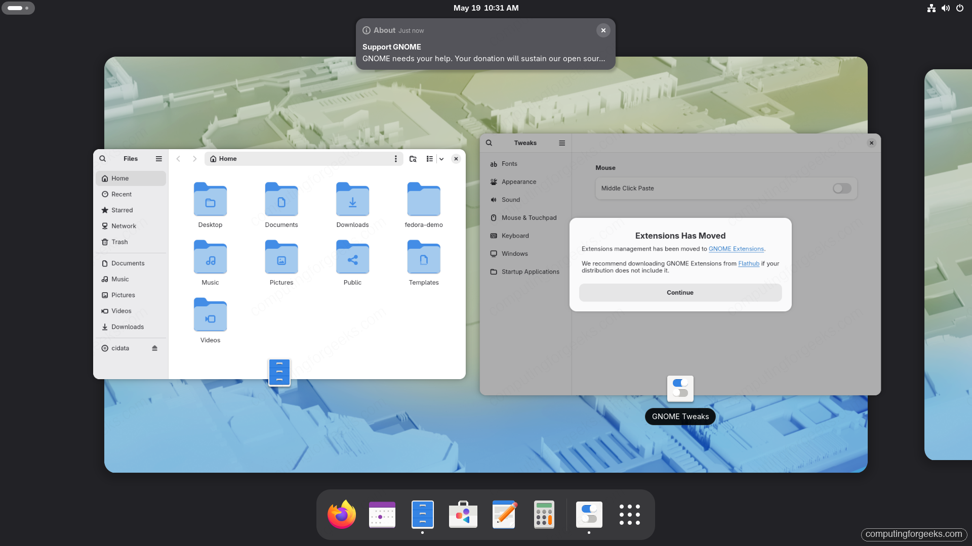 GNOME Tweaks application Fedora 44 mouse settings extensions panel